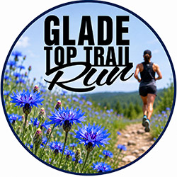 Run Through a Sea of Blue: The Cornflowers of the Glade Top Trail