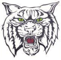 Wildcat.jpg