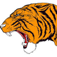 TIGER.jfif