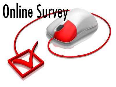 Online Survey